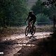 Merida Reacto Team Di2-46