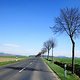 frühling im leinetal