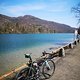 Rhein