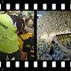 bvb
