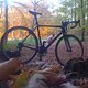 IMG 1180