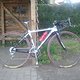ridley2