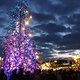 weihnachtsbaum des TOLLWOODFESTIVAL´S aus 1000 fahrrädern - münchen 2016