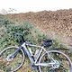 Crosser
 2 Grad - trocken 
Wege mit Laub schlammig viele Single Trails