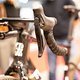 velofollies rr highlights-2-11