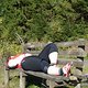 Harz (13)