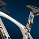 MadoneSLR Palmares DesignerSeries 6